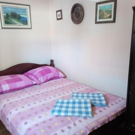 Apartment "Mislav" Gornji Karin Εξωτερικό φωτογραφία